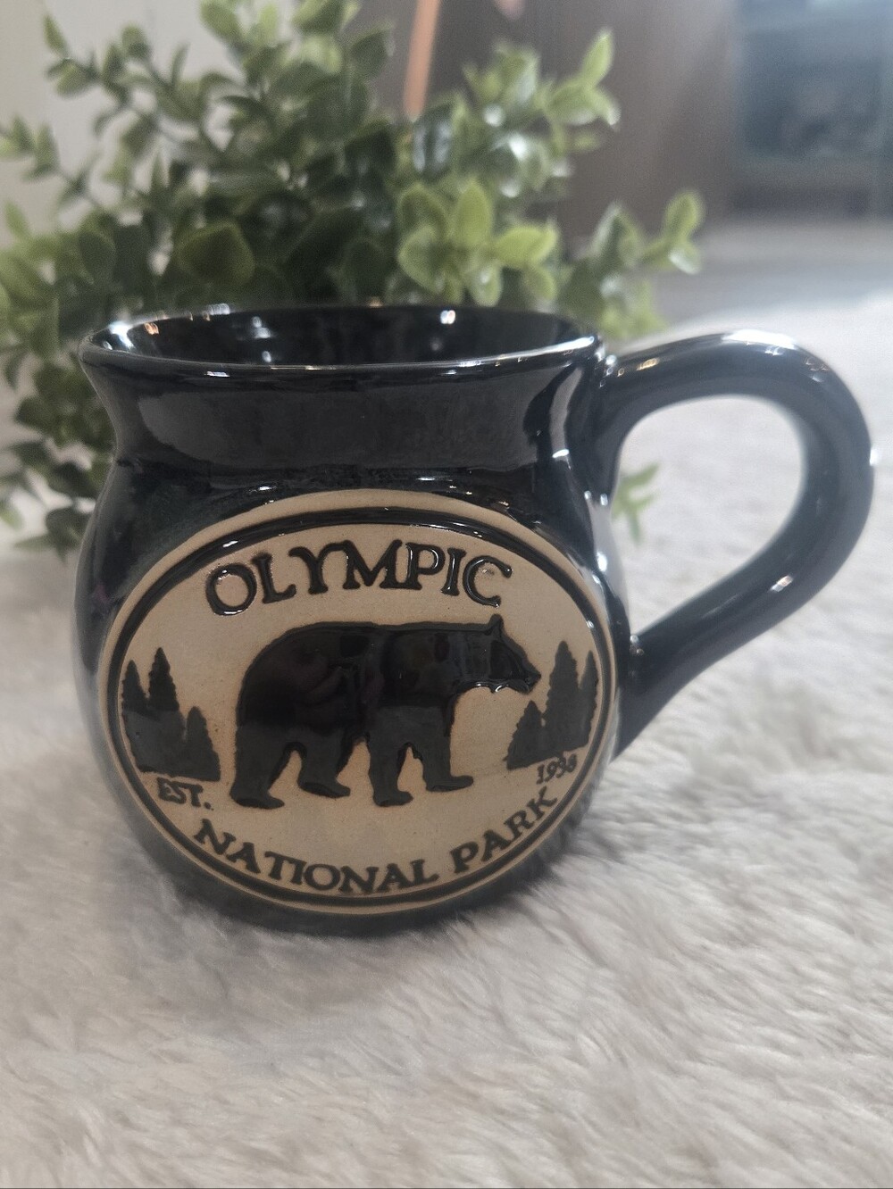 Olympic National Park Black Ceramic Potbelly Keepsake Souvenir Coffee Mug